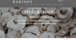 Desktop Screenshot of karingo.com